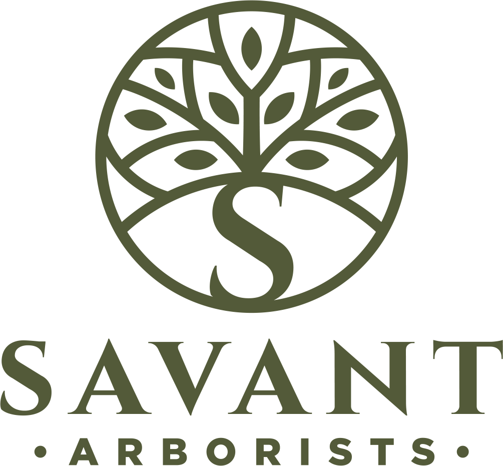 Savant-Arborist